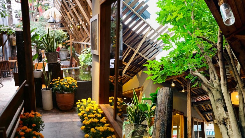 Quán được trang trí với hoa và cây xanh