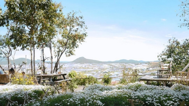 Tầm nhìn từ Tiệm cafe Túi mơ to