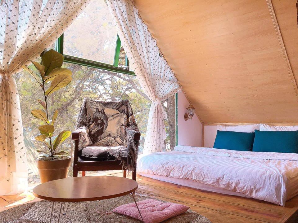 Khám phá HomeFarm Homestay Đà Lạt - ngôi nhà gỗ giữa rừng thông mãi không hết hot - Du Lịch Chất