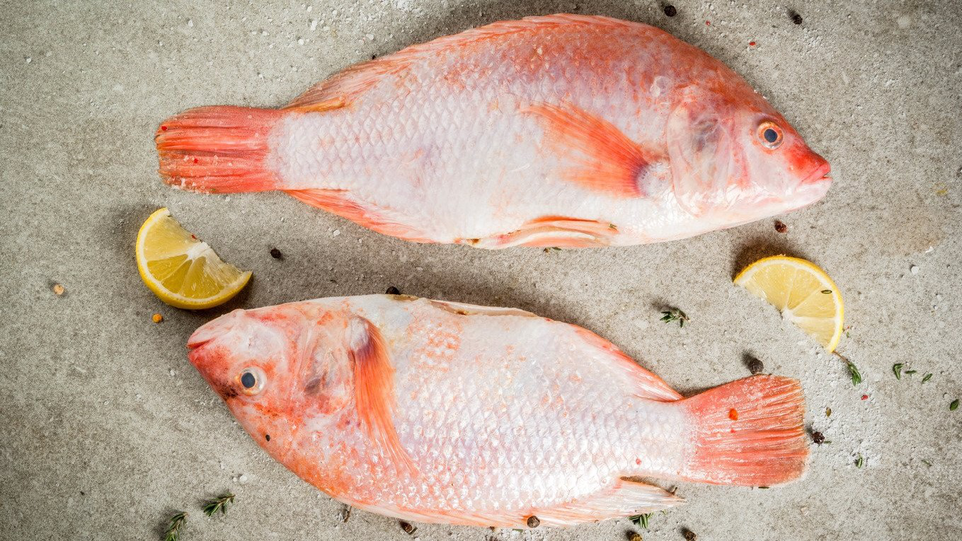 Cá diêu hồng: Đặc điểm, giá trị dinh dưỡng và một số món ăn ngon dễ nấu - Nhà thuốc FPT Long Châu