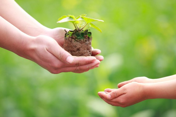 công việc tình nguyện là gì